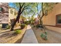 Landscaped walkway through a residential community with desert landscaping at 3935 E Rough Rider Rd # 1235, Phoenix, AZ 85050