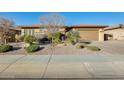 Single-story home with a brown garage door at 2238 E Saddlebrook Rd, Gilbert, AZ 85298