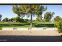 View of a lush green golf course from the backyard at 2544 S Daisy --, Mesa, AZ 85209