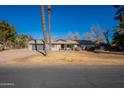 Single-story home with a large front yard and mature palm trees at 616 E Country S Plz, Gilbert, AZ 85234