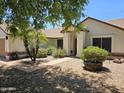 Front yard view of a house with mature palm trees and well-maintained landscaping at 620 S Laveen Dr, Chandler, AZ 85226