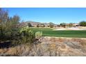 Community view with golf course and mountain backdrop at 1780 W Morse Dr, Anthem, AZ 85086