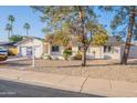 Well-maintained house with mature trees and a spacious front yard at 2918 E Des Moines St, Mesa, AZ 85213