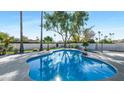 Inviting kidney-shaped pool surrounded by lush landscaping at 8709 E Irish Hunter Trl, Scottsdale, AZ 85258