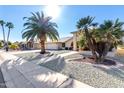 House exterior with mature palm trees and a well-maintained front yard at 21214 N 124Th Ave, Sun City West, AZ 85375