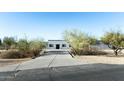 Modern desert home with a long driveway and mature trees at 6516 N 43Rd Pl, Paradise Valley, AZ 85253