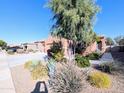 Landscaped front yard with mature trees and drought-tolerant plants at 21209 N 40Th Ave, Glendale, AZ 85308