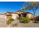 Single-story house with brown garage door and desert landscaping at 26407 N 166Th Ave Ave, Surprise, AZ 85387