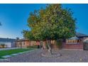 Brick ranch home with a large tree and well maintained lawn at 8502 E Catalina Dr, Scottsdale, AZ 85251