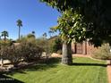 Landscaped backyard with mature trees, shrubs, and grassy areas at 4502 N 86Th Pl, Scottsdale, AZ 85251