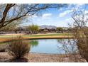Luxury homes surround a serene pond and golf course, with mountain views in the background at 26573 W Abraham Ln, Buckeye, AZ 85396