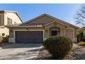 One-story house with brown garage door and landscaped front yard at 18239 N Cook Dr, Maricopa, AZ 85138