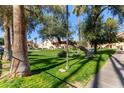 Landscaped grounds with walkways and mature trees at 4901 S Calle Los Cerros Dr # 241, Tempe, AZ 85282