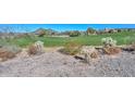 View of a green golf course and desert landscape at 12128 W Desert Mirage Dr, Peoria, AZ 85383