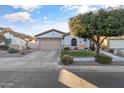 Tan two-car garage home with mature desert landscaping at 146 N Parkview Ln, Litchfield Park, AZ 85340