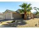 Tan single-story house with palm trees and gravel landscaping in the front yard at 5 E Zinnia Pl, San Tan Valley, AZ 85143