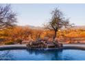 Beautiful pool with a rock waterfall feature and desert landscape at 5620 E Ocotillo Rd, Cave Creek, AZ 85331