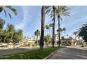 A grand entrance to a community, lined with towering palm trees and manicured landscaping at 10113 E Topaz Dr, Scottsdale, AZ 85258