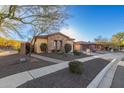 Single story home with stone accents and desert landscaping at 213 E Summerside Rd, Phoenix, AZ 85042