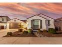 Single-story home with attached garage, landscaping, and a charming front entrance at 10496 W Cottontail Ln, Peoria, AZ 85383