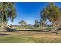 Scenic view of a lush green golf course with mountains in the background at 1942 W Peninsula Cir, Chandler, AZ 85248