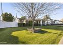 Landscaped front yard with mature tree and manicured lawn at 5134 N 33Rd St, Phoenix, AZ 85018