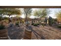 Landscaped backyard with desert plants and seating area, offering a relaxing outdoor space at 26175 W Firehawk Dr, Buckeye, AZ 85396