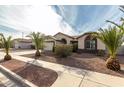 House exterior with palm trees and a well-maintained yard at 4212 S 78Th Ln, Phoenix, AZ 85043