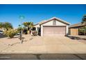 Front view of a house with a two-car garage and mature palm trees at 9916 E Dolphin Cir, Mesa, AZ 85208