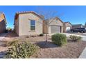 View of the home's side elevation showcasing desert landscaping at 2622 E Marcos Dr, Casa Grande, AZ 85194