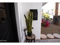 Snake plant on a chair near the front door at 4525 N 82Nd St, Scottsdale, AZ 85251