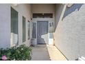 Front door entry with sidelights and decorative glass at 10406 E Laguna Azul Ave, Mesa, AZ 85209