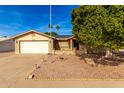 Brick ranch house with a large tree, driveway, and landscaped yard at 1724 W 15Th Ave, Apache Junction, AZ 85120