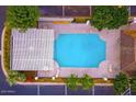 Communal swimming pool with a pergola and lounge chairs at 7028 N Barbados Pl, Phoenix, AZ 85021