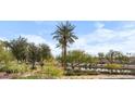 Tranquil waterfront view with lush greenery and mature trees at 7175 E Camelback Rd # 207, Scottsdale, AZ 85251