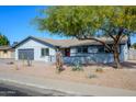 Ranch style home with gray exterior and mature tree in front at 2112 E Fremont Dr, Tempe, AZ 85282