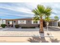 Tan single-story home with carport and palm tree in front at 5241 E Lindstrom Ln, Mesa, AZ 85215