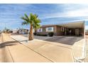 Tan single-story home with carport and palm tree in front at 5241 E Lindstrom Ln, Mesa, AZ 85215