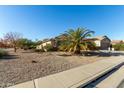 Street view of a one-story house with a palm tree at 18412 N Primrose Dr, Maricopa, AZ 85138