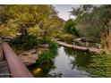 Backyard pond featuring stone steps with lush landscaping and serene water feature at 5747 E Mockingbird Ln, Paradise Valley, AZ 85253