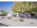 Side view of a single story home with mature trees and desert landscaping at 7278 W Via Montoya Dr, Glendale, AZ 85310