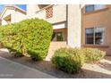 Building exterior showcasing landscaping and a walkway at 29606 N Tatum Blvd # 161, Cave Creek, AZ 85331