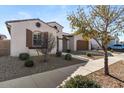 House exterior view, showcasing tan walls and a tree in front at 22847 E Sonoqui Blvd, Queen Creek, AZ 85142