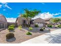 Tan house with a large tree and well-manicured lawn at 12064 S 186Th Ave, Goodyear, AZ 85338