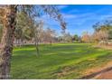 Green grassy park with mature trees and a walking path at 1161 S Storment Ln, Gilbert, AZ 85296