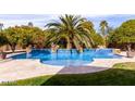 Large rectangular pool with tiled coping at 3326 E Ivyglen Cir, Mesa, AZ 85213