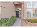 Front entry with black security door and mature shrubs at 4028 N Ranier --, Mesa, AZ 85215