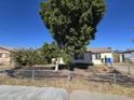 House with a tree in front and chain link fence at 4411 N 56Th Dr, Phoenix, AZ 85031