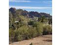 Scenic view of a desert landscape with mountain backdrop, lush greenery, and clear blue sky providing a serene living experience at 4344 E Desert Crest Dr, Paradise Valley, AZ 85253