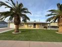 House exterior featuring a landscaped yard and palm trees at 5452 E University Dr, Mesa, AZ 85205